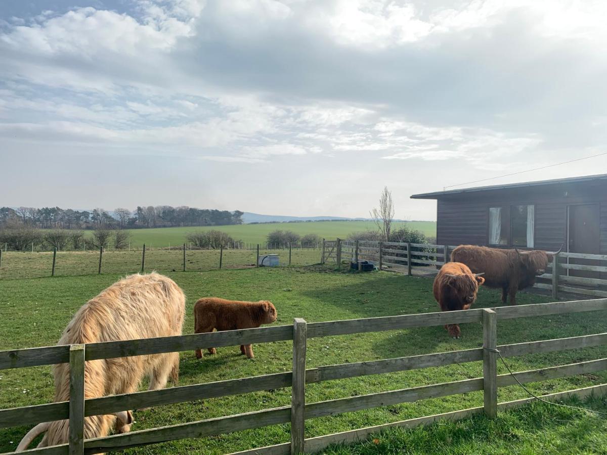 Orchard House Lodges By Ecohuman Haddington Eksteriør billede